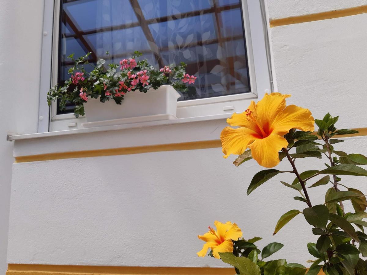 Thermal Garden โมชนมายารูวาร์ ภายนอก รูปภาพ